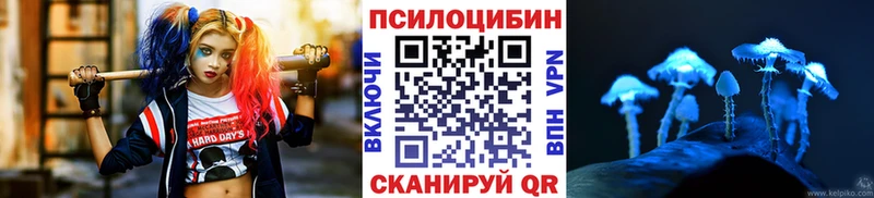 Галлюциногенные грибы GOLDEN TEACHER  Нефтегорск 